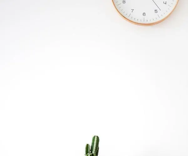 Appartement Center Joe