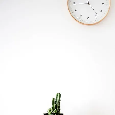 Lägenhet Center Joe